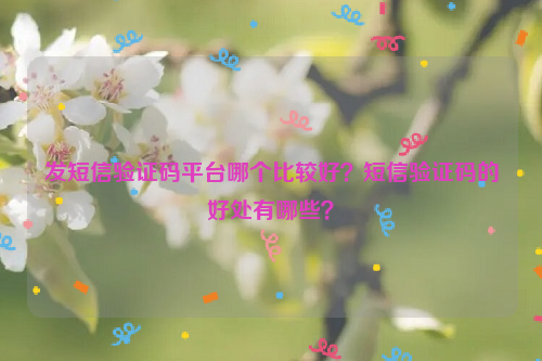 发短信验证码平台哪个比较好？短信验证码的好处有哪些？