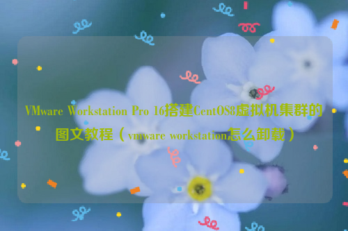 VMware Workstation Pro 16搭建CentOS8虚拟机集群的图文教程（vmware workstation怎么卸载）