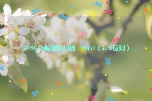 5W2H 分解漏洞扫描 - WHAT（5w2h原则）