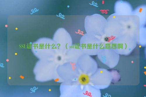 SSL证书是什么？（ssl证书是什么意思啊）