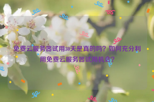 免费云服务器试用30天是真的吗？如何充分利用免费云服务器试用机会？