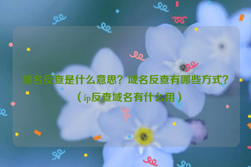 域名反查是什么意思？域名反查有哪些方式？（ip反查域名有什么用）