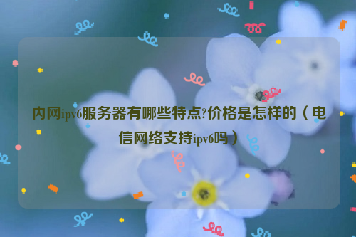 内网ipv6服务器有哪些特点?价格是怎样的（电信网络支持ipv6吗）