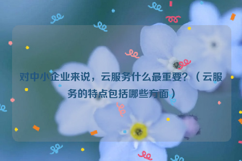 对中小企业来说，云服务什么最重要？（云服务的特点包括哪些方面）