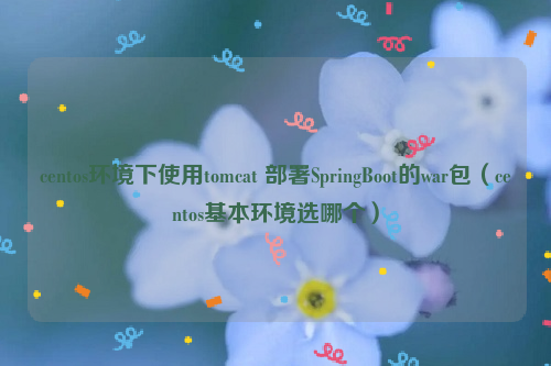 centos环境下使用tomcat 部署SpringBoot的war包（centos基本环境选哪个）