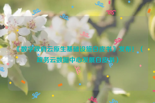 《数字政府云原生基础设施白皮书》发布！（政务云数据中心发展白皮书）