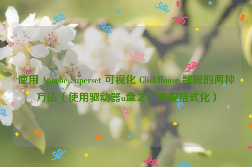 使用 Apache Superset 可视化 ClickHouse 数据的两种方法（使用驱动器u盘之前需要格式化）