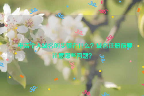 ﻿申请个人域名的步骤有什么？域名注册前要注意哪些问题？