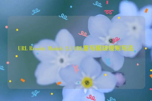 URL Rewrite Module 2.1 URL重写模块规则写法