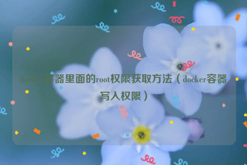 docker容器里面的root权限获取方法（docker容器写入权限）