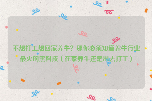 不想打工想回家养牛？那你必须知道养牛行业最火的黑科技（在家养牛还是出去打工）