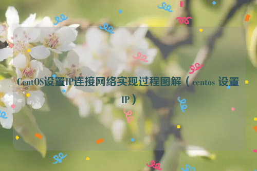 CentOS设置IP连接网络实现过程图解（centos 设置IP）