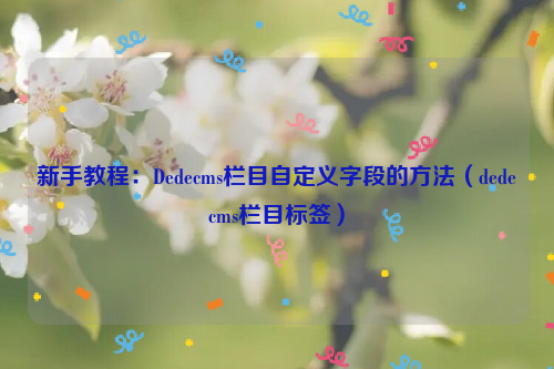 新手教程：Dedecms栏目自定义字段的方法（dedecms栏目标签）