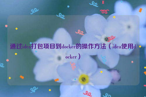 通过idea打包项目到docker的操作方法（idea使用docker）