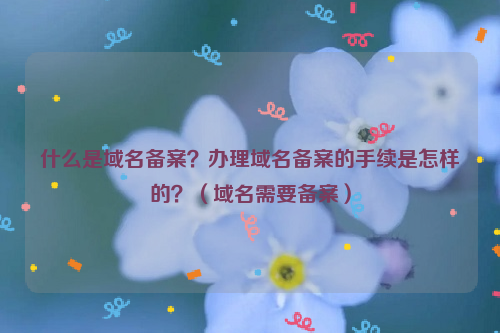 什么是域名备案？办理域名备案的手续是怎样的？（域名需要备案）