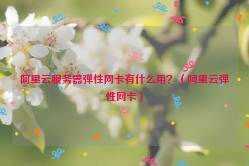 阿里云服务器弹性网卡有什么用？（阿里云弹性网卡）