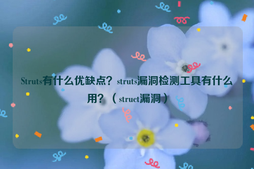 Struts有什么优缺点？struts漏洞检测工具有什么用？（struct漏洞）