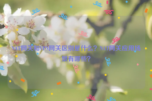 NAT网关和VPN网关区别是什么？NAT网关应用场景有哪些？