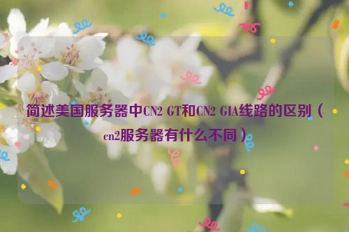 简述美国服务器中CN2 GT和CN2 GIA线路的区别（cn2服务器有什么不同）