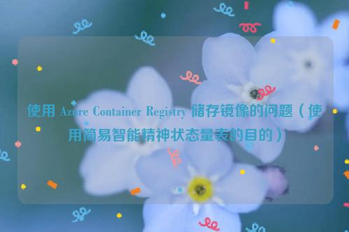 使用 Azure Container Registry 储存镜像的问题（使用简易智能精神状态量表的目的）