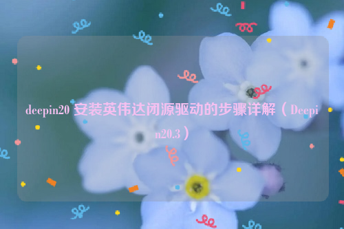 deepin20 安装英伟达闭源驱动的步骤详解（Deepin20.3）