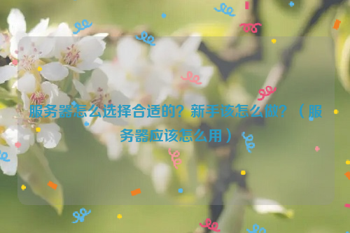 服务器怎么选择合适的？新手该怎么做？（服务器应该怎么用）