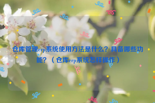 仓库管理erp系统使用方法是什么？具备哪些功能？（仓库erp系统怎样操作）