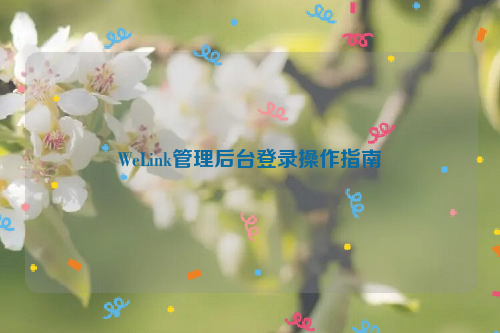 WeLink管理后台登录操作指南