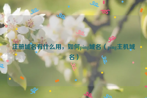 注册域名有什么用，如何ping域名（ping主机域名）