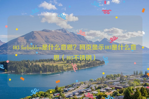 403 forbidden是什么意思？网页显示403是什么意思（403不锈钢）