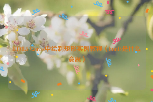 HTML5 Canvas中绘制矩形实例教程（html5是什么意思）