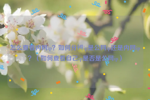 怎么查看内网ip？如何分辨ip是公网ip还是内网ip？（如何查看自己ip是否是公网ip）