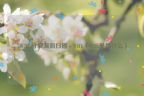 5W2H 分解漏洞扫描 - WHY（5w2h是指什么）