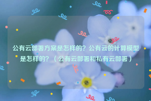 公有云部署方案是怎样的？公有云的计算模型是怎样的？（公有云部署和私有云部署）