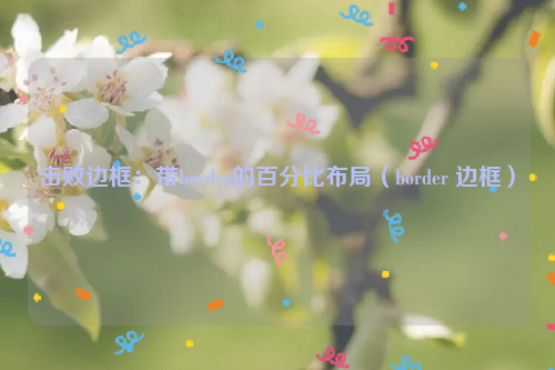 击败边框：带border的百分比布局（border 边框）