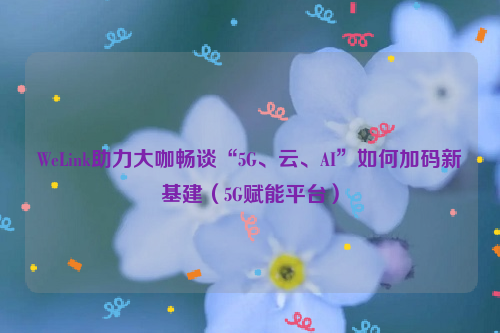 WeLink助力大咖畅谈“5G、云、AI”如何加码新基建（5G赋能平台）