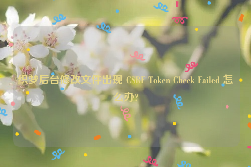 织梦后台修改文件出现 CSRF Token Check Failed 怎么办?