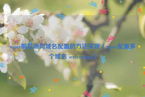 nginx前后端同域名配置的方法实现（nginx配置多个域名 servername）