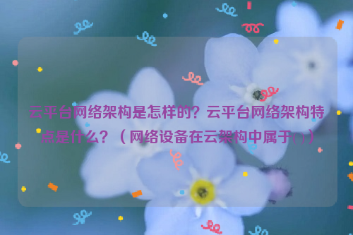 云平台网络架构是怎样的？云平台网络架构特点是什么？（网络设备在云架构中属于( )）