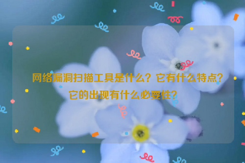 ﻿网络漏洞扫描工具是什么？它有什么特点？它的出现有什么必要性？