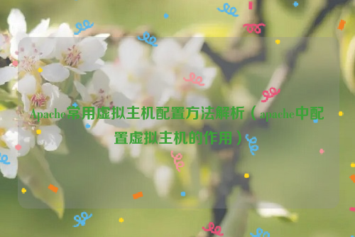 Apache常用虚拟主机配置方法解析（apache中配置虚拟主机的作用）