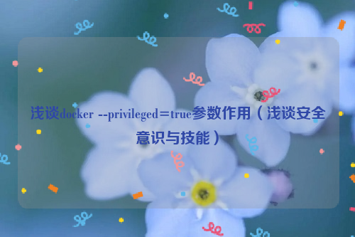 浅谈docker --privileged=true参数作用（浅谈安全意识与技能）