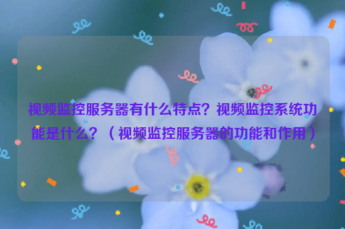 视频监控服务器有什么特点？视频监控系统功能是什么？（视频监控服务器的功能和作用）