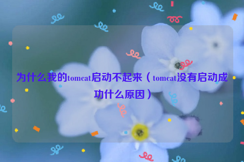 为什么我的tomcat启动不起来（tomcat没有启动成功什么原因）