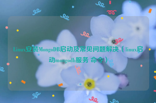 Linux安装MongoDB启动及常见问题解决（linux启动mongodb服务 命令）