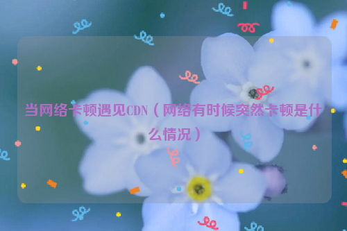 当网络卡顿遇见CDN（网络有时候突然卡顿是什么情况）