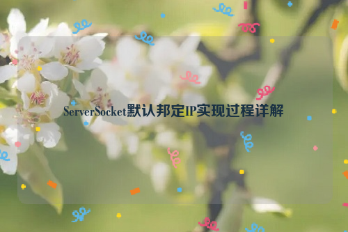 ServerSocket默认邦定IP实现过程详解