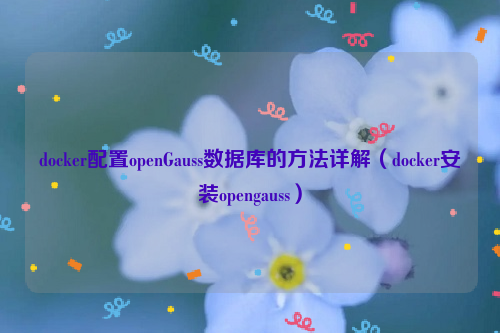 docker配置openGauss数据库的方法详解（docker安装opengauss）