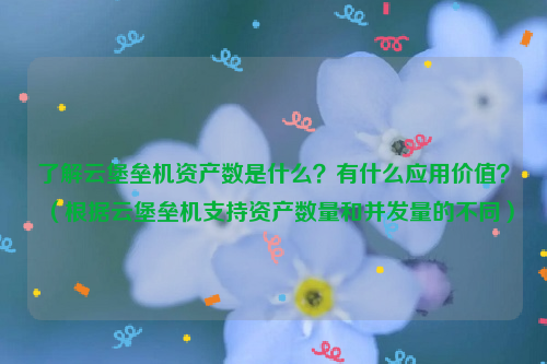 了解云堡垒机资产数是什么？有什么应用价值？（根据云堡垒机支持资产数量和并发量的不同）