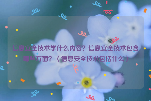 信息安全技术学什么内容？信息安全技术包含哪些方面？（信息安全技术包括什么）